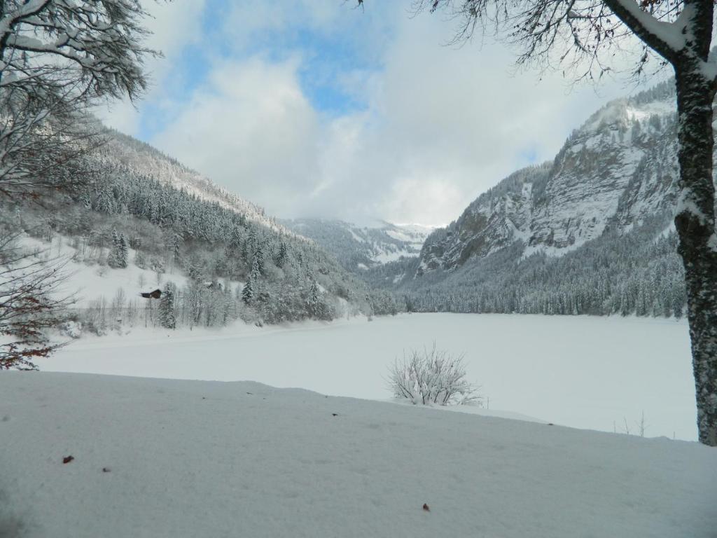 Logis Hotel Les Sapins Montriond Exterior photo