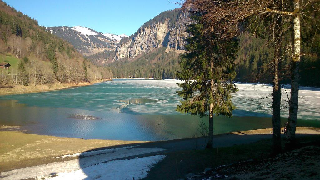 Logis Hotel Les Sapins Montriond Exterior photo