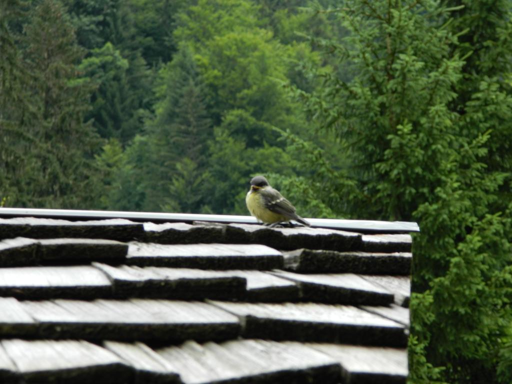Logis Hotel Les Sapins Montriond Exterior photo